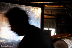 Hector Chaloux's silhouette. He is operating the wood processor that cuts logs into cord wood and then splits it and moves it by conveyor belt to a dump truck.