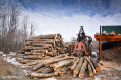 Roger Chaloux and logs to be loaded onto wood processor rack.