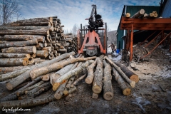 Roger Chaloux and logs to be loaded onto wood processor rack.