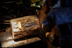 log being cut into cord wood in the wood processor.