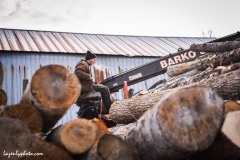Roger Chaloux places logs onto the rack from which they are moved into the wood processor to be cut and split.