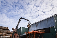 Roger Chaloux places logs onto the rack from which they are moved into the wood processor to be cut and split.