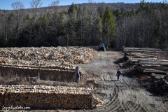 Roger Chaloux walks in wood yard behind his house in Williamstown, VT.