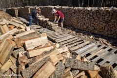Roger Chaloux and assistant stack wood. (can get name of assistan.)
