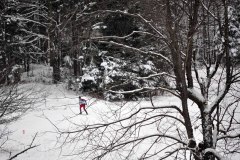 Eastern Cup Sprint, Craftsbury, VT 12/18/10