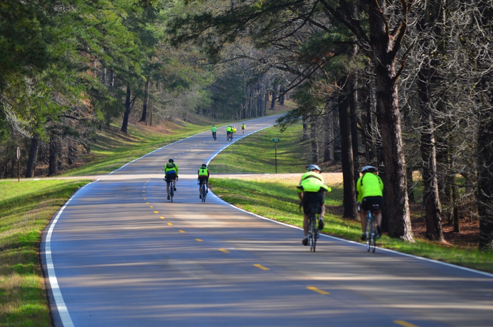 Bicycling the Natchez Trace Parkway.