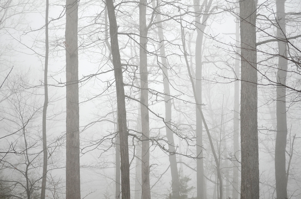 Mist, Pegram, TN.