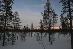 JCL_3708_1W