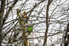Linemen repairing damage from wind and rains storm that hit central Vermont 12.23.2022