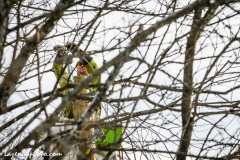 Linemen repairing damage from wind and rains storm that hit central Vermont 12.23.2022