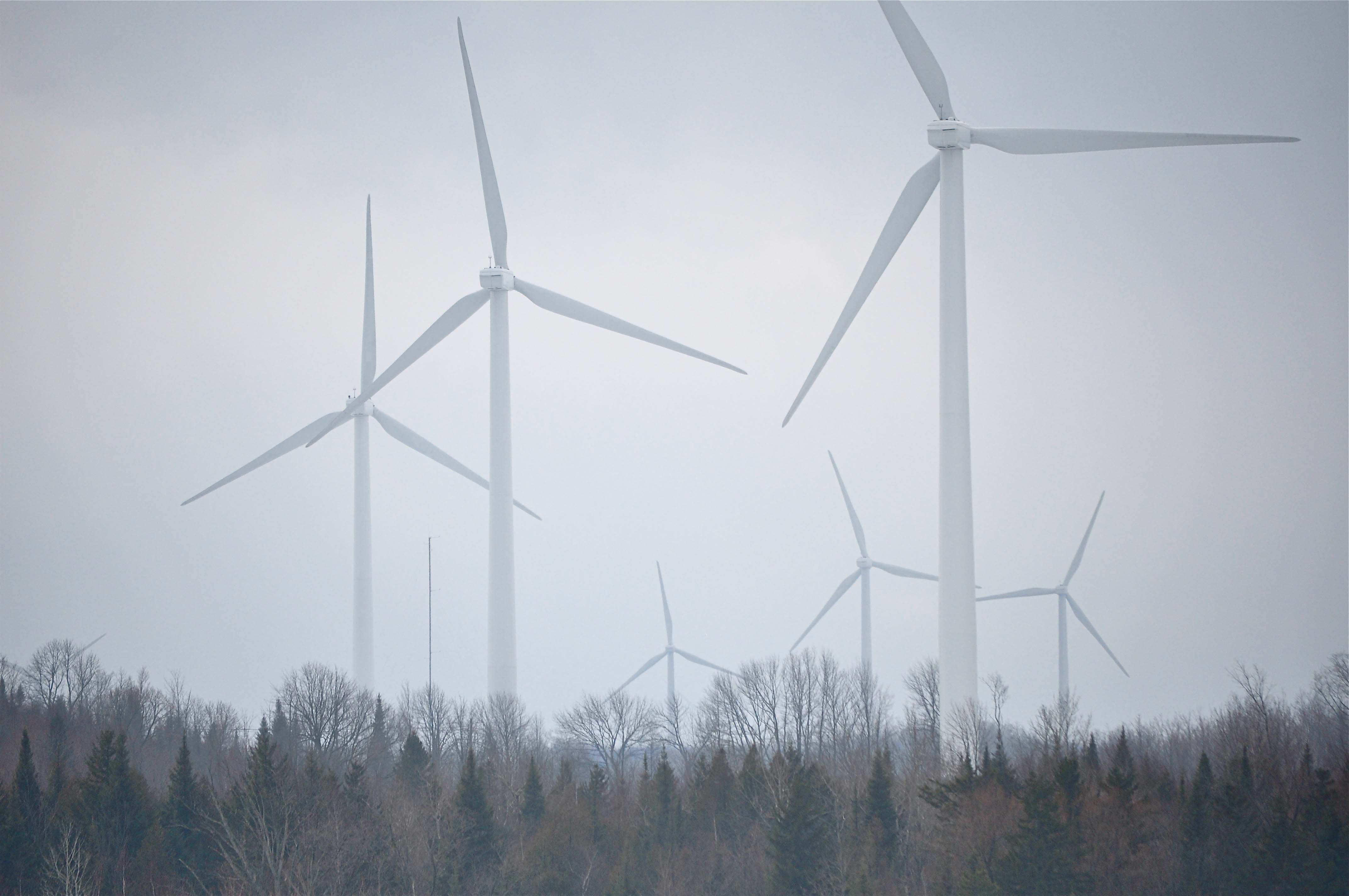 DSC_2137_2windfarmNYweb1.jpg