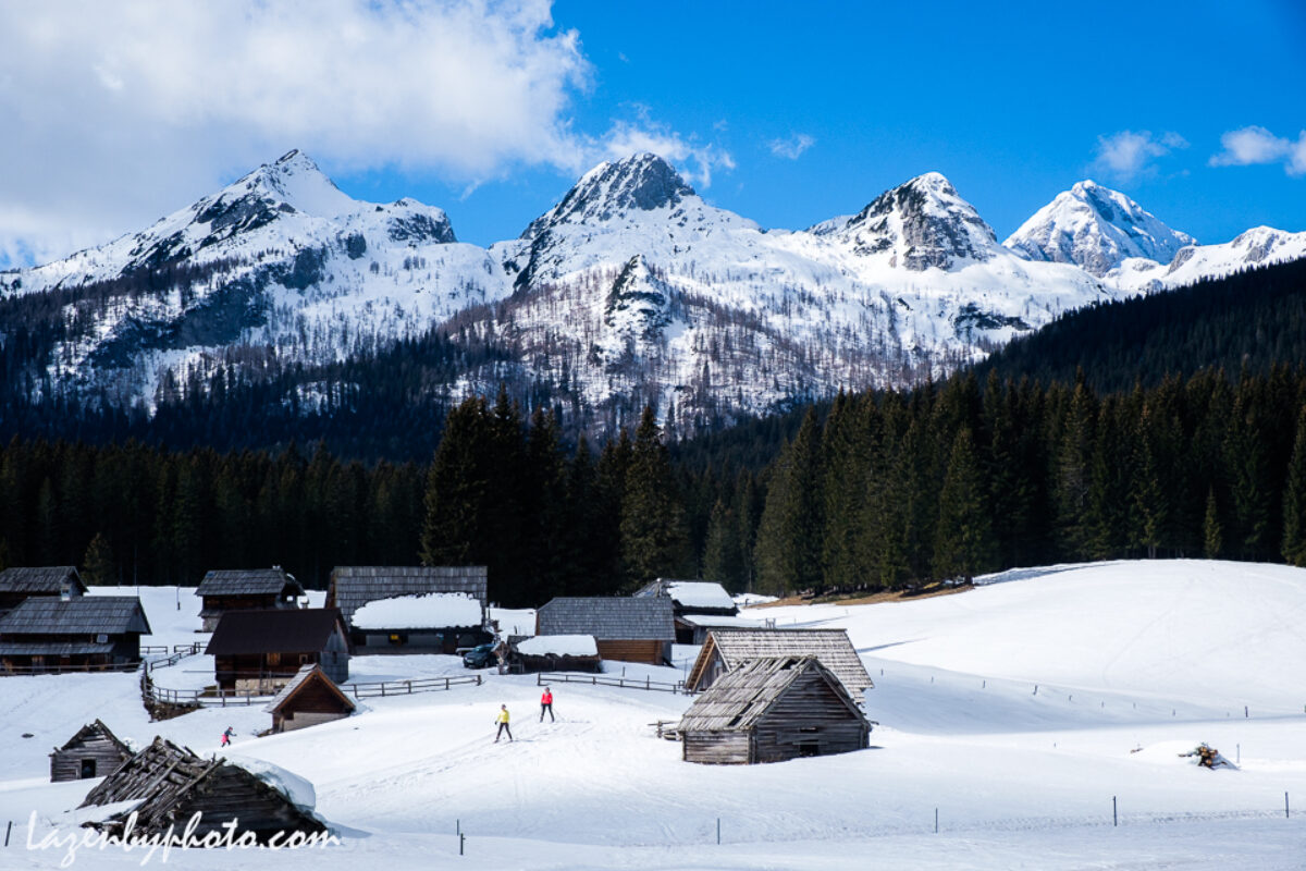Cross Country Skier Photos