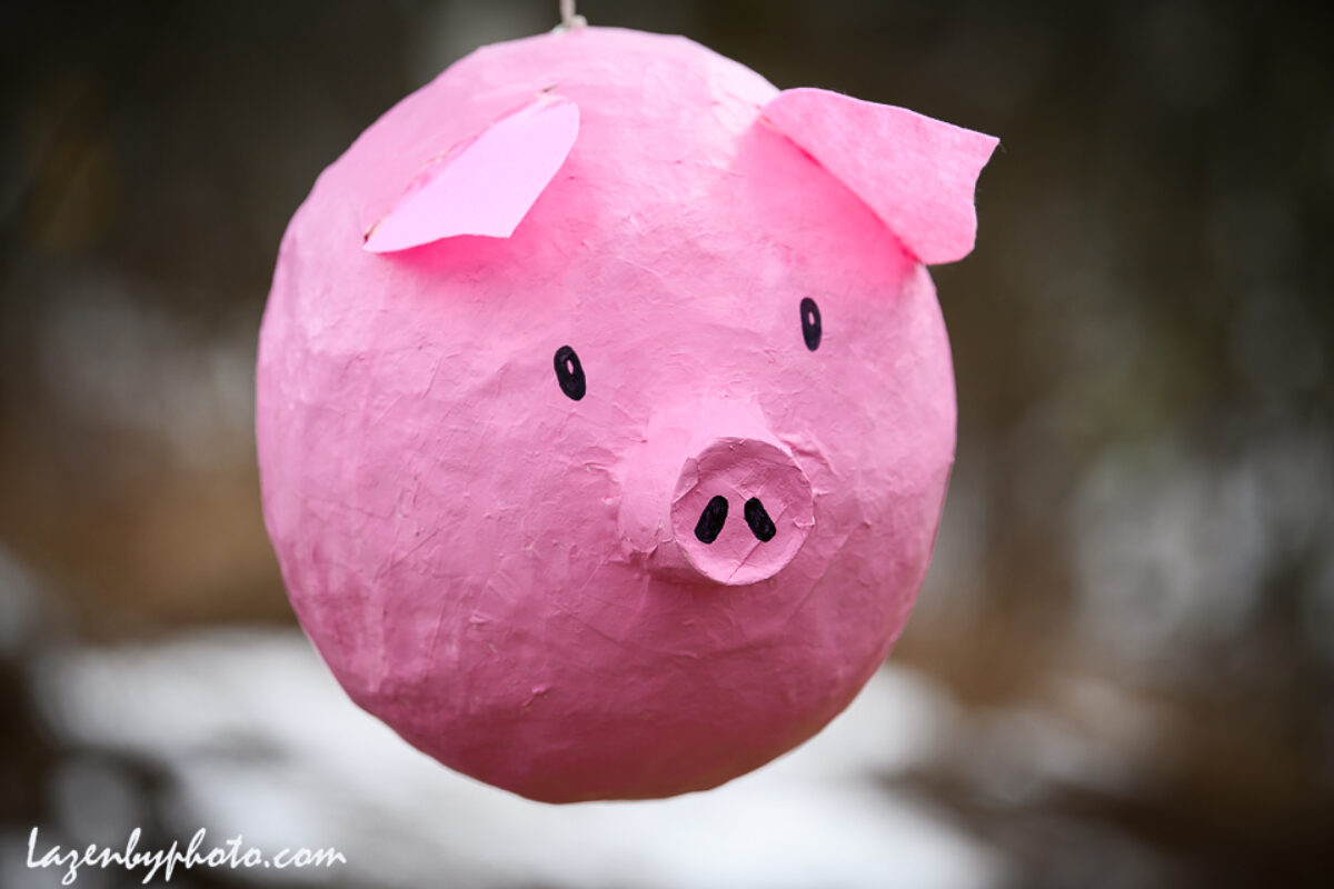 Return of the Blueberry Hill Pig Race