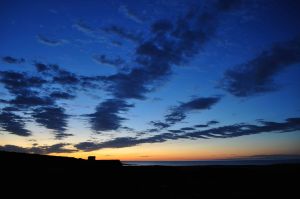 DSC_0235122310.jpg