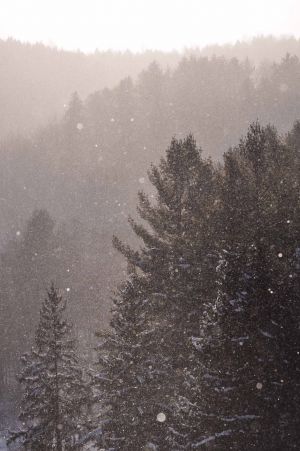 dsc_0451Winter2011Web.jpg