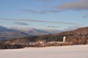dsc_0473Winter2011Web.jpg