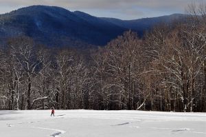 dsc_0491_2Winter2011Web.jpg