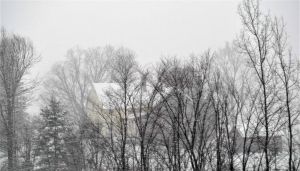dsc_0509_2Winter2011Web.jpg