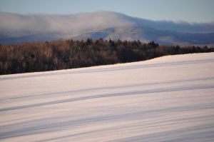 dsc_1835Winter2011Web.jpg